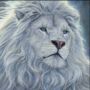 Gerald676