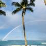 Aloha