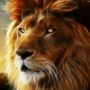 lionking