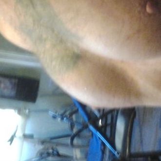 fordpintoblue, photos